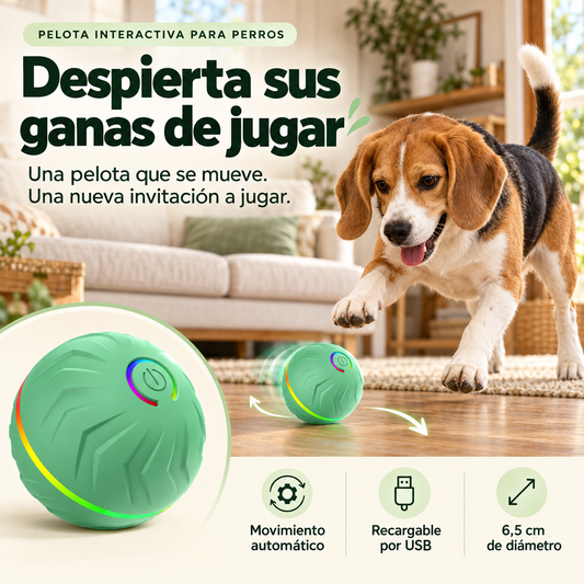 RollPopBall Pelota interactiva con rebote automático