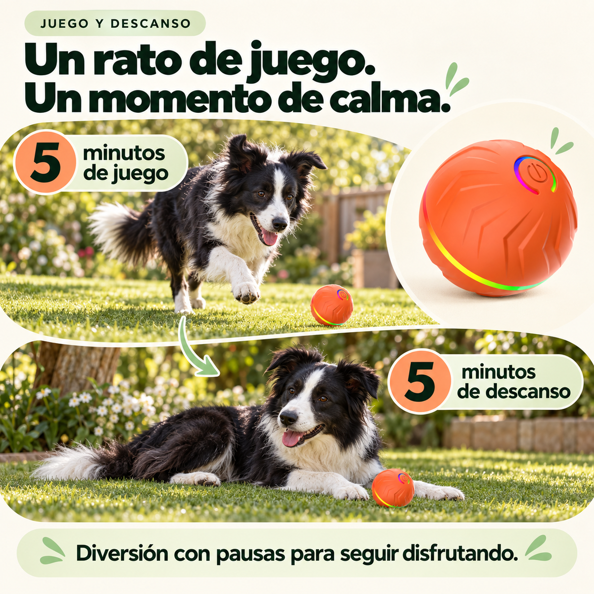 RollPopBall Pelota interactiva con rebote automático