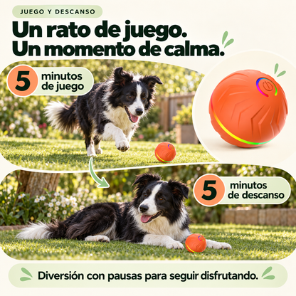 RollPopBall Pelota interactiva con rebote automático