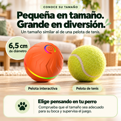 RollPopBall Pelota interactiva con rebote automático